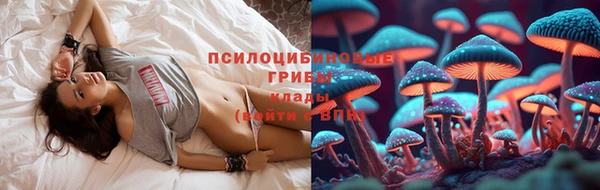 кокс Баксан