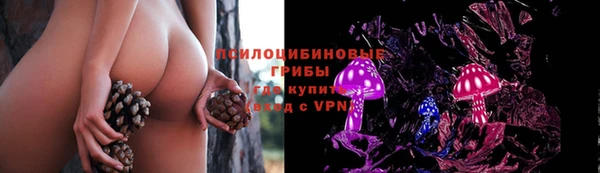 кокс Баксан