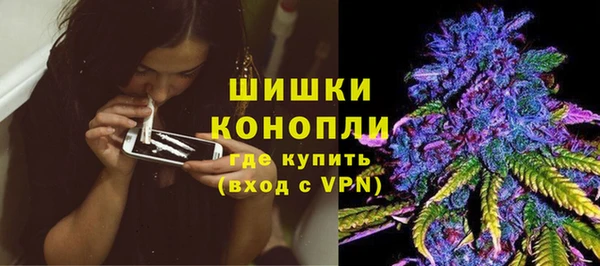 PSILOCYBIN Балабаново