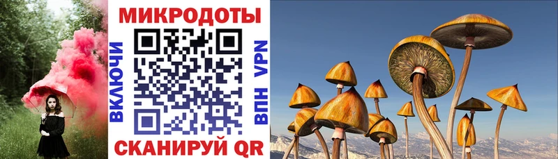 Псилоцибиновые грибы мицелий  Усть-Джегута 
